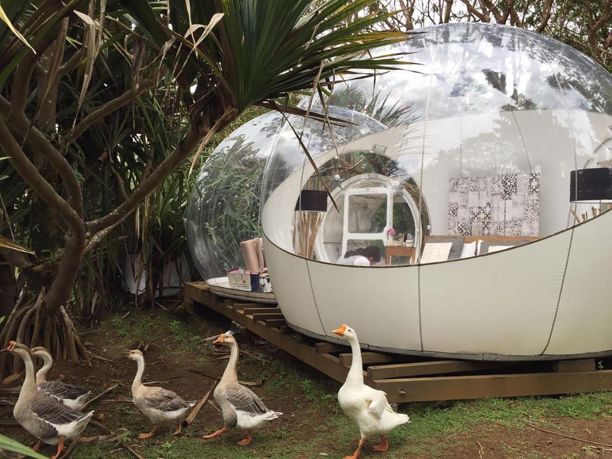 Bubble Lodge Bois Cheri Plantation Екстер'єр фото
